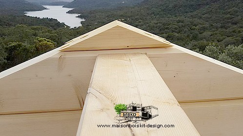 maison bois kit design